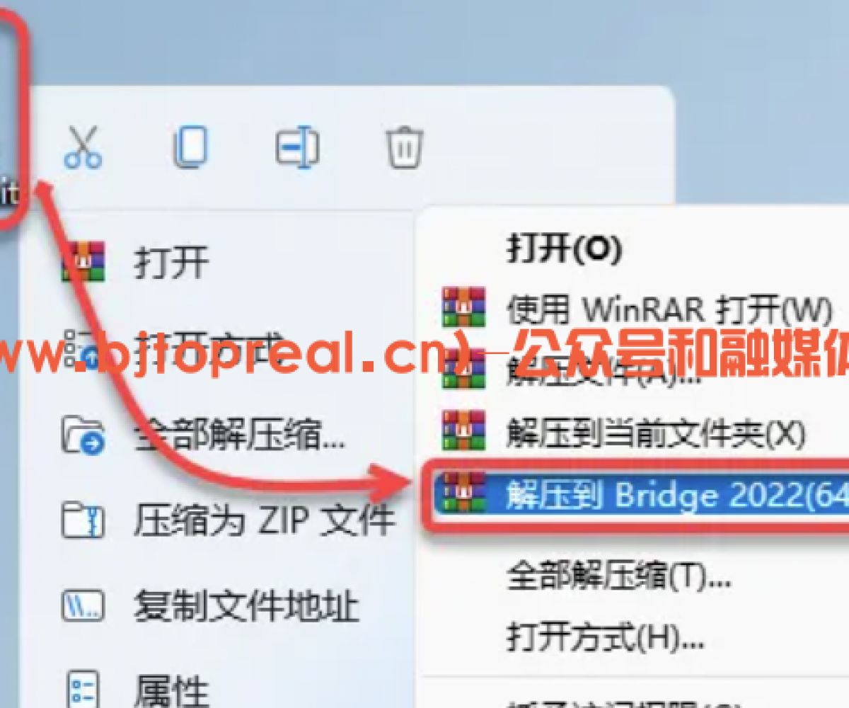 Bridge2022安装教程
